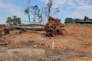 Equipe do Pelotão Ambiental da GCM de Limeira flagrou crime ambiental no bairro dos Pires, Limeira.