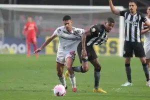 Botafogo vence no fim