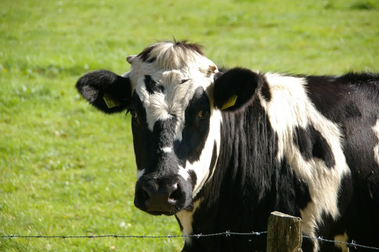 Cadastro Rural