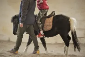 Apae promove 6º Simpósio de Equoterapia gratuito e 100% online