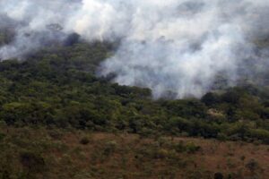 Desmatamento no último ano de Bolsonaro já atinge a pior marca desde 2016