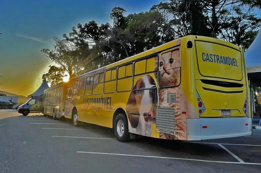 Mutirão vai castrar quase 4 mil cães e gatos, em Limeira