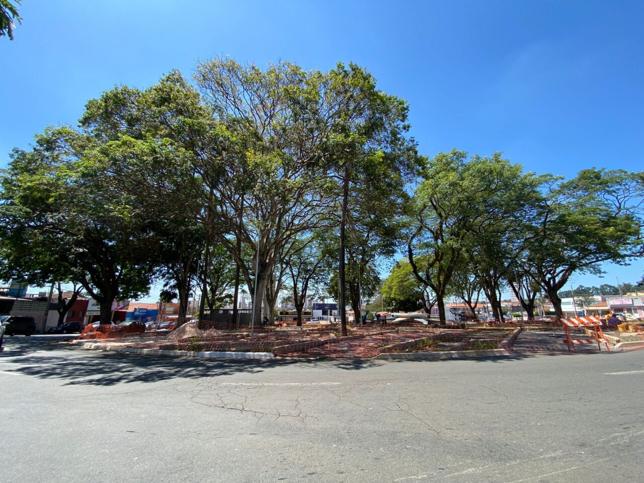 Cinco árvores serão removidas da Praça da Buzolin, em Limeira