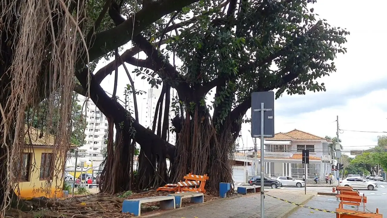 Interdição da Rua 13 de Maio é adiada devido às chuvas, em Limeira