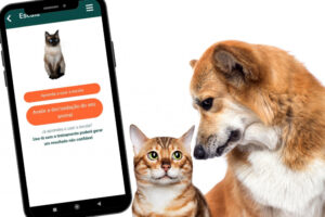 Aplicativo gratuito ensina a identificar dor em cães e gatos