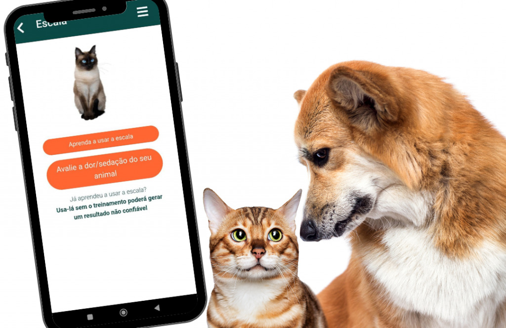 Aplicativo gratuito ensina a identificar dor em cães e gatos