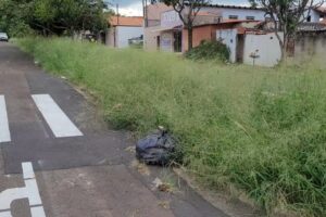 Mato alto em canteiro central preocupa moradores no Planalto, em Limeira
