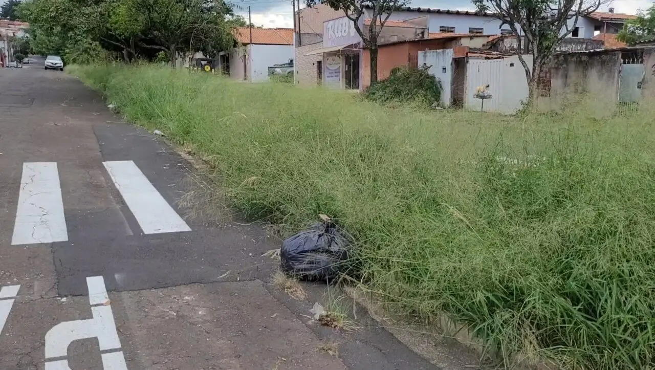 Mato alto em canteiro central preocupa moradores no Planalto, em Limeira
