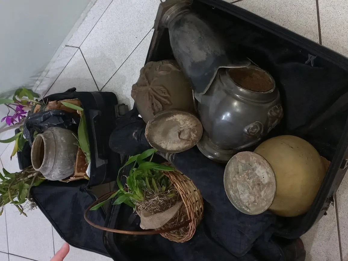 Casal é detido furtando Cemitério Saudades, em Limeira