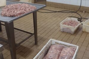denúncia carnes frigorífico