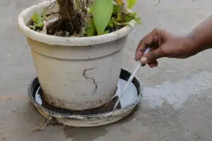 Região do Jd. São Pedro recebe mutirão contra a dengue neste sábado