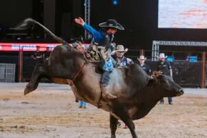 A LNR divulgou a lista de competidores que estarão na disputa por uma vaga na etapa final da Festa do Peão de Barretos 2023, a maior do país. “Ouviremos o nome de Limeira na arena de Barretos novamente”, comemora Nivaldo Moreira, da organização do Limeira Rodeo Music 2023.