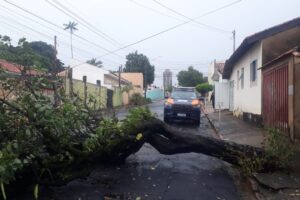 Chuvas afetam setor de Saúde e provocam alagamentos e queda de árvores