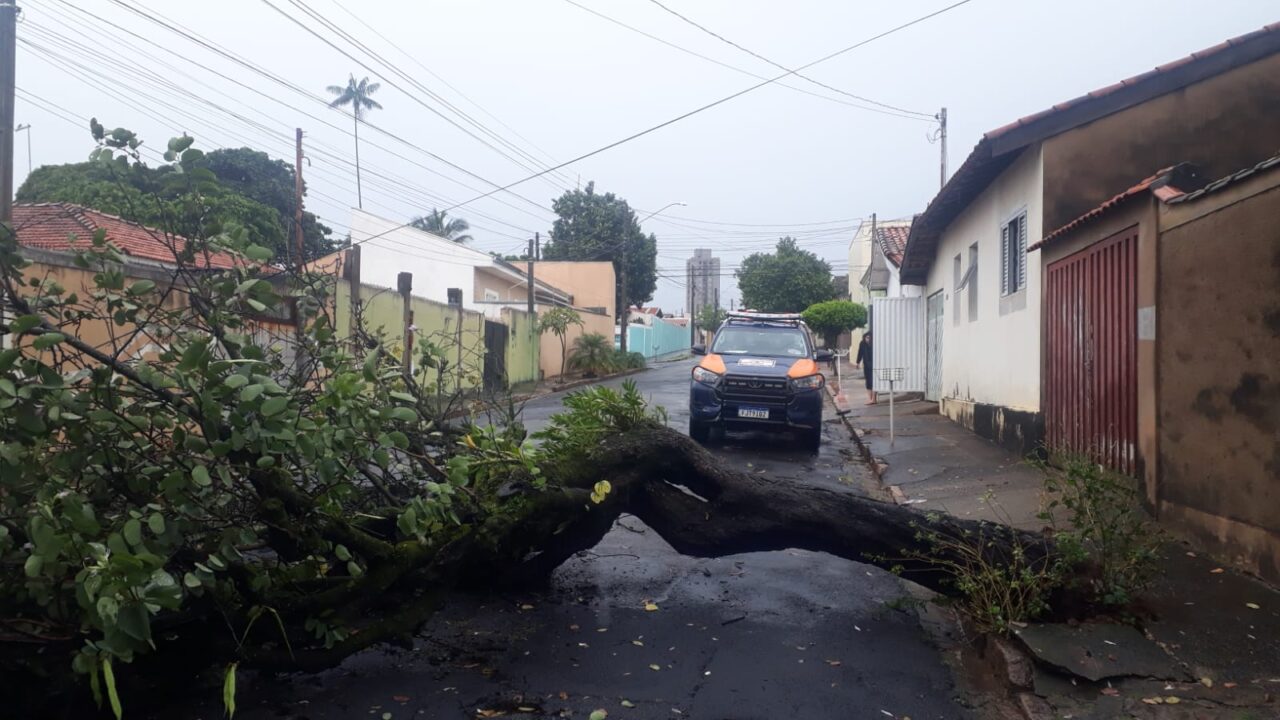 Chuvas afetam setor de Saúde e provocam alagamentos e queda de árvores