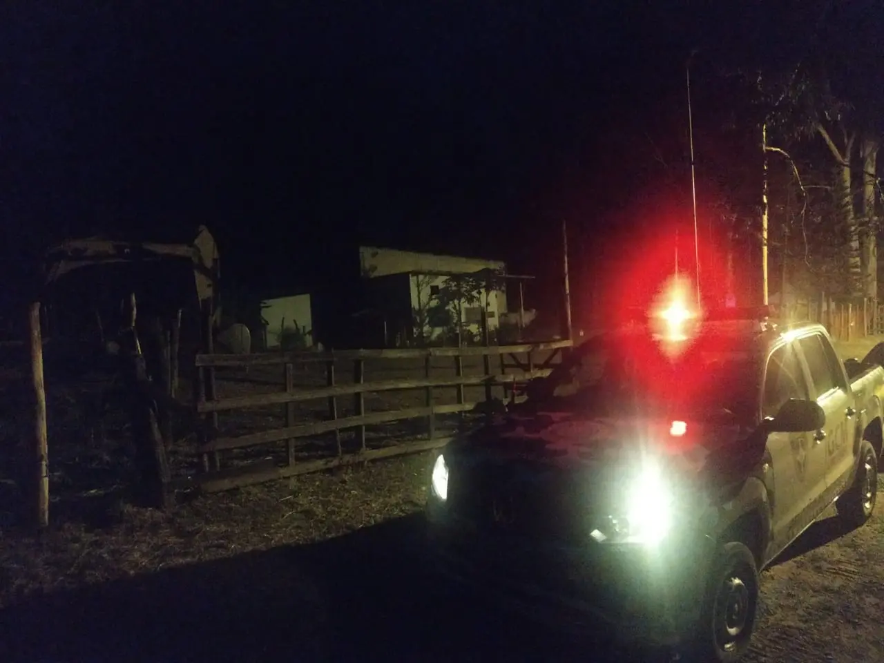 Dois cavalos são furtados do Horto de Limeira