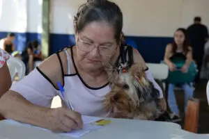 cachorro castração castra + limeira