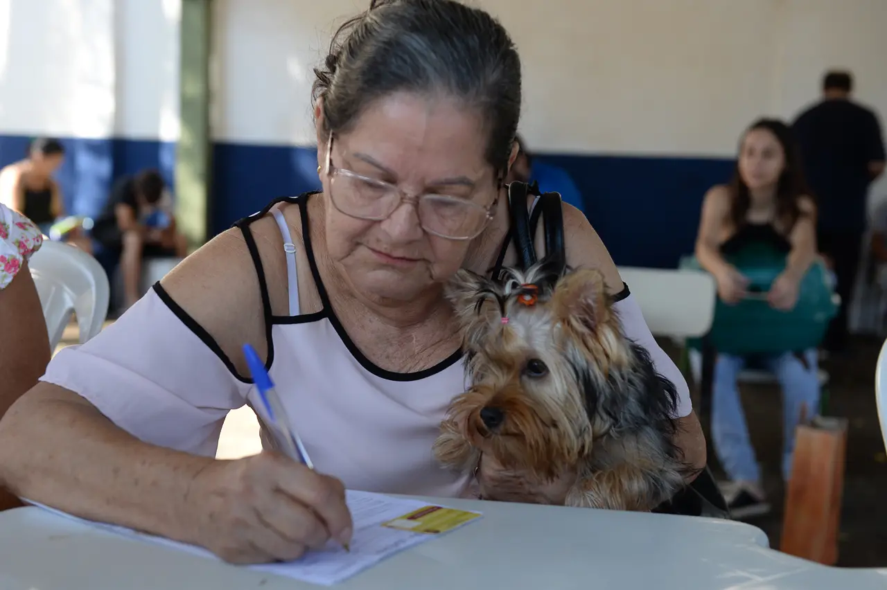 cachorro castração castra + limeira