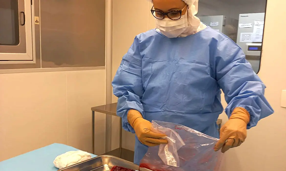 curativos biológicos à base de placenta