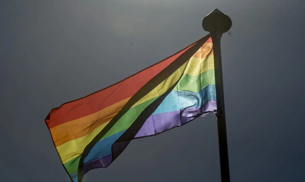 Quatro anos após ser extinto pelo governo anterior, o Ministério dos Direitos Humanos e Cidadania criou o Conselho Nacional dos Direitos das Pessoas Lésbicas, Gays, Bissexuais, Travestis, Transexuais, Queers, Intersexos, Assexuais e Outras, o CNLGBTQIA+.