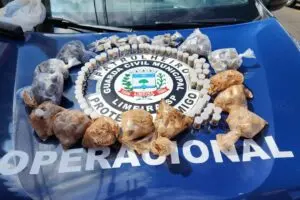 ‘Super Maconha’ é apreendida pela GCM no Odécio Degan