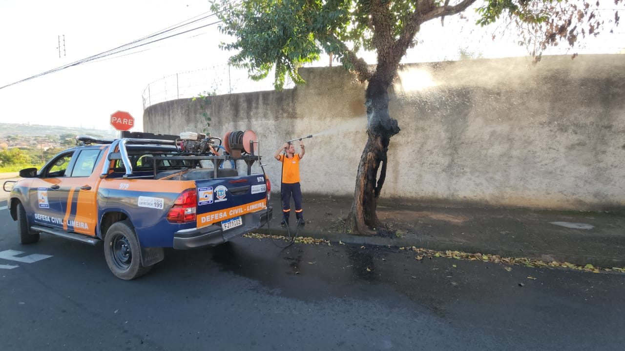 Árvore é incendiada no Jardim Planalto, em Limeira