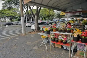 Com o aumento da visitação aos cemitérios municipais em razão ao Dia das Mães, neste domingo (14), a Divisão de Vigilância de Zoonoses de Limeira orienta a população sobre as medidas de prevenção ao Aedes aegypti, mosquito transmissor da dengue, zika vírus e chikungunya.