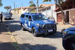 Pitbulls matam cachorro e deixam homem ferido no Jardim Planalto
