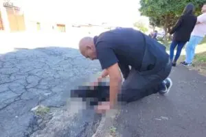 Tutor de cachorro atacado por pitbulls chora ao encontrar animal morto