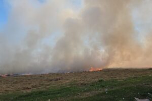 Incêndio de grandes proporções atinge área verde na Vila Piza, em Limeira