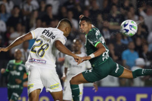 Santos e Palmeiras empatam