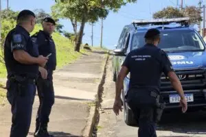 Um cachorro de pequeno porte foi atacado e morto por dois pitbulls na Rua Aroeira, no Jardim Planalto, em Limeira (SP), na tarde desta terça-feira (16). Testemunhas relataram que o cachorro de pequeno porte foi brutalmente atacado.
