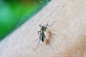 Profissionais alertam para ressurgimento do tipo 3 da dengue
