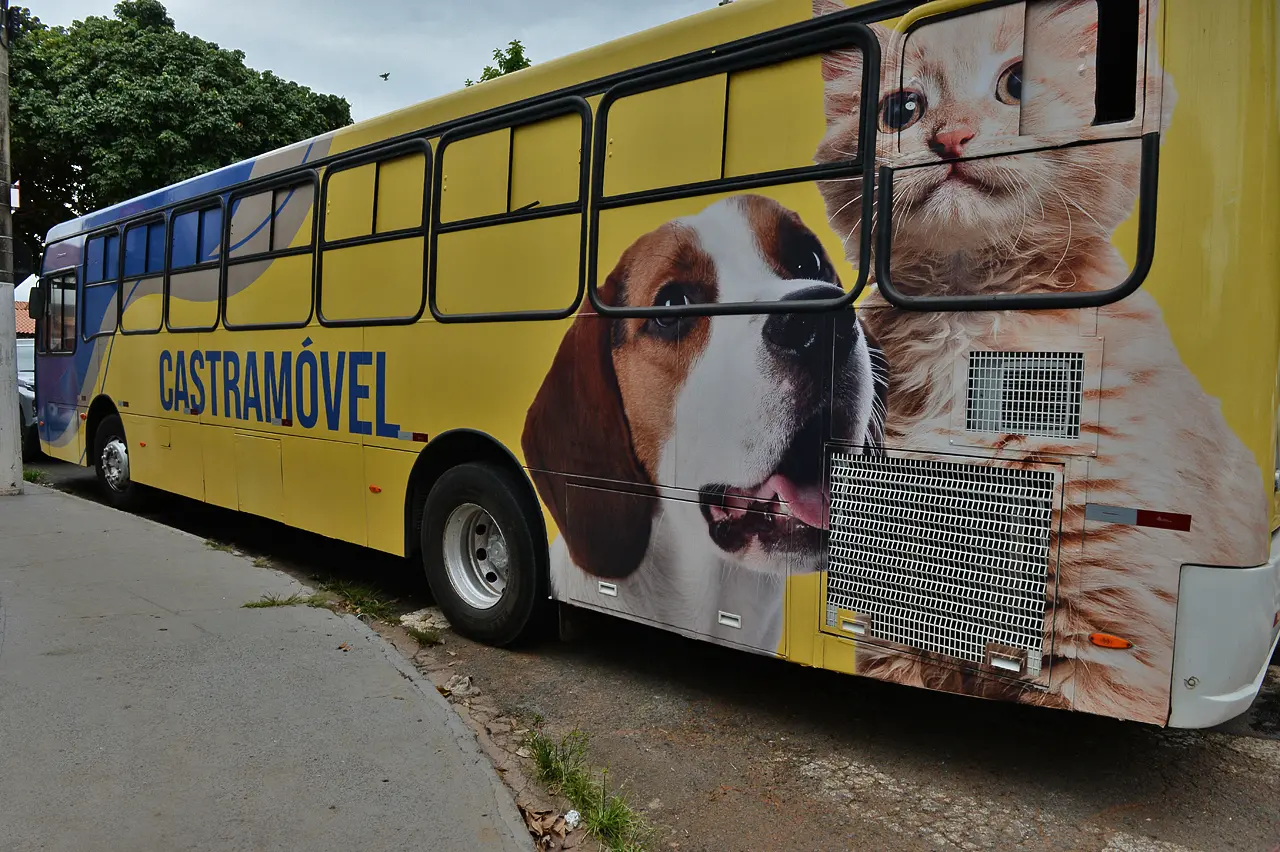 Novo mutirão 'Castra + Limeira' será nos dias 27 e 28 de maio