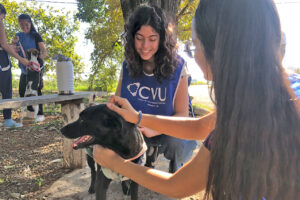 Alunos voluntários da Unicamp levam dia de lazer a animais tutelados pelo DPBEA