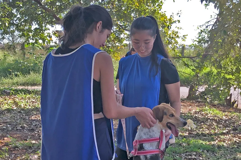 Alunos voluntários da Unicamp levam dia de lazer a animais tutelados pelo DPBEA