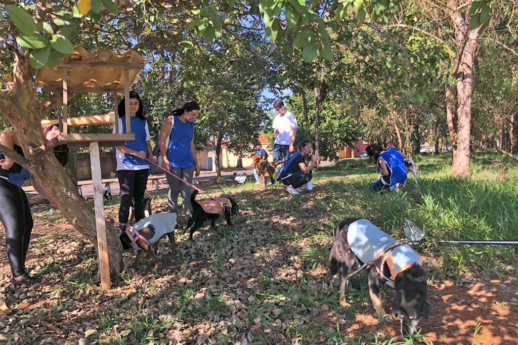 Alunos voluntários da Unicamp levam dia de lazer a animais tutelados pelo DPBEA