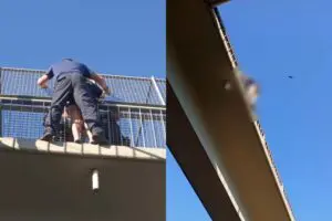 GCM salva adolescente que ameaçava tirar a própria vida após perder a mãe