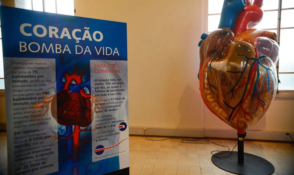 Internações por infarto