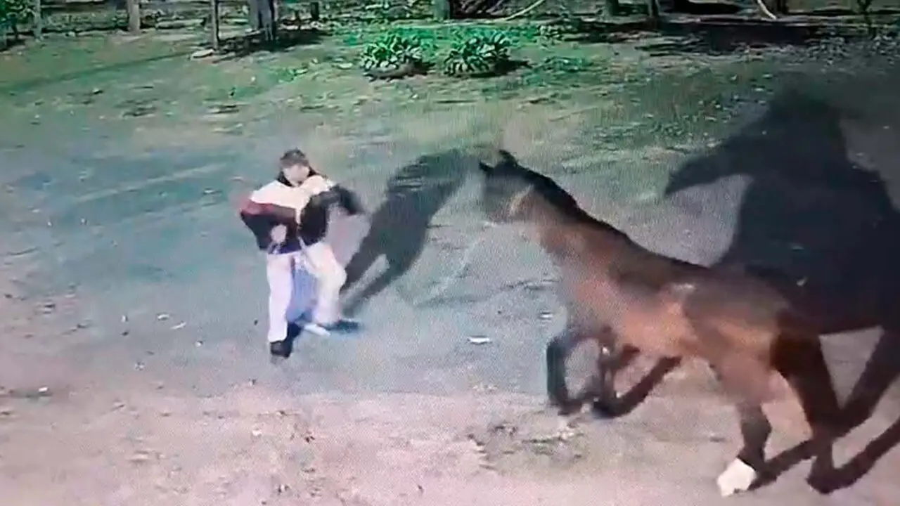 Homem é preso suspeito de furtar cavalo e tentar vendê-lo por R