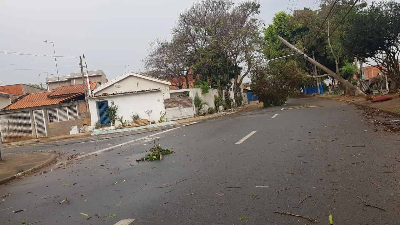 Chuva em Limeira causa queda de árvore no Pq. Nossa Senhora das Dores