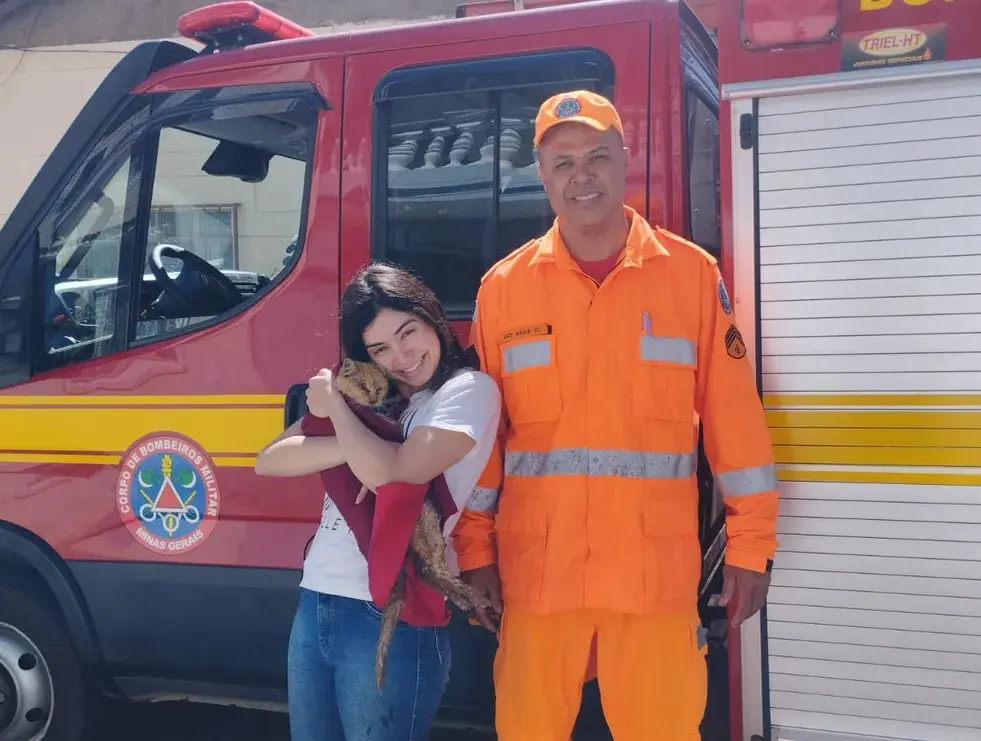 Família mineira afirma ter uma das gatas mais velhas do mundo