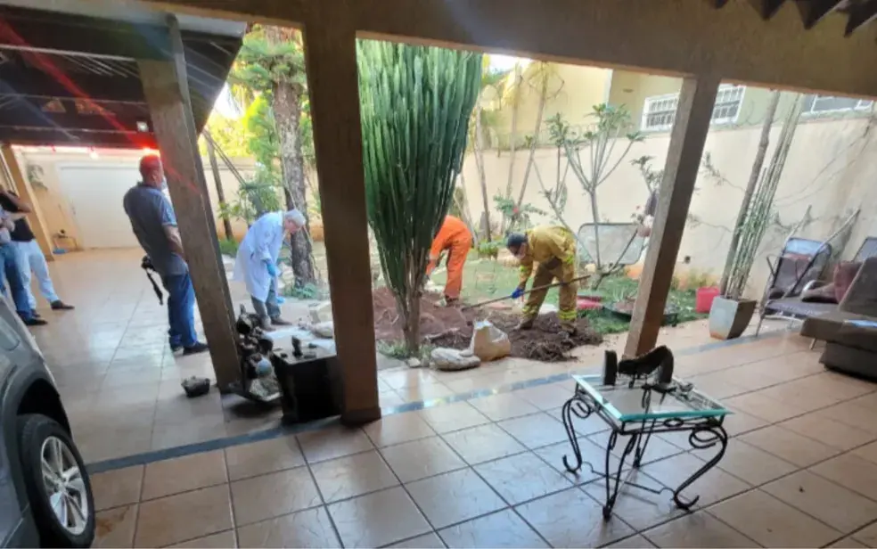 Jovem de 18 anos mata e enterra idosa em quintal de casa no interior de SP