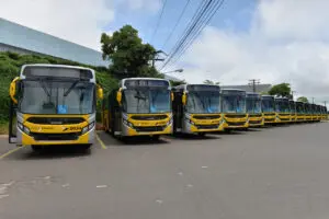 Limeira terá ônibus gratuito para eleição do Conselho Tutelar no domingo