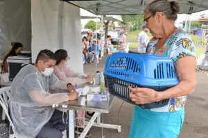 Mutirão de castração gratuita acontece neste sábado na Vila Labak