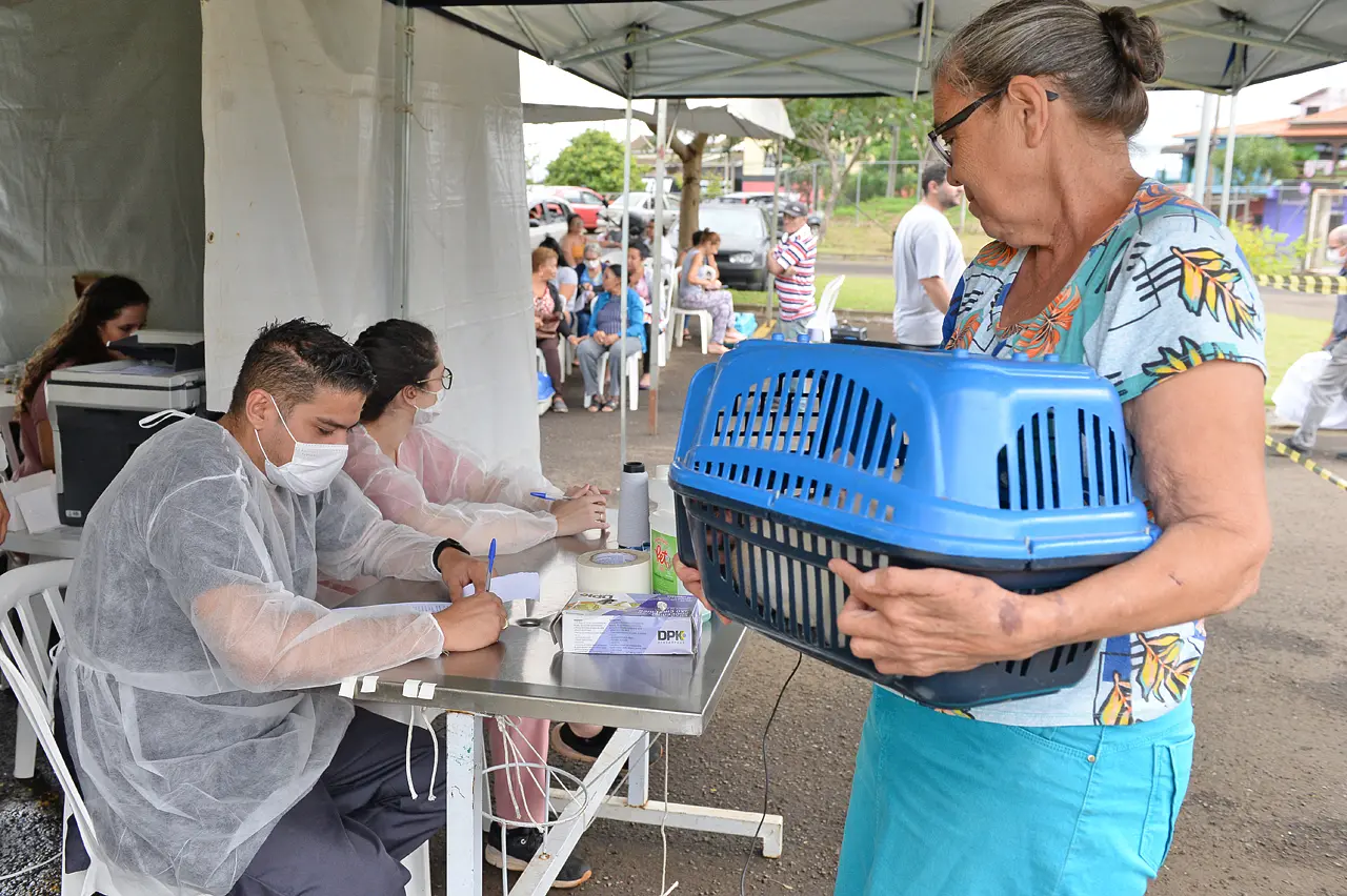 Mutirão de castração gratuita acontece neste sábado na Vila Labak