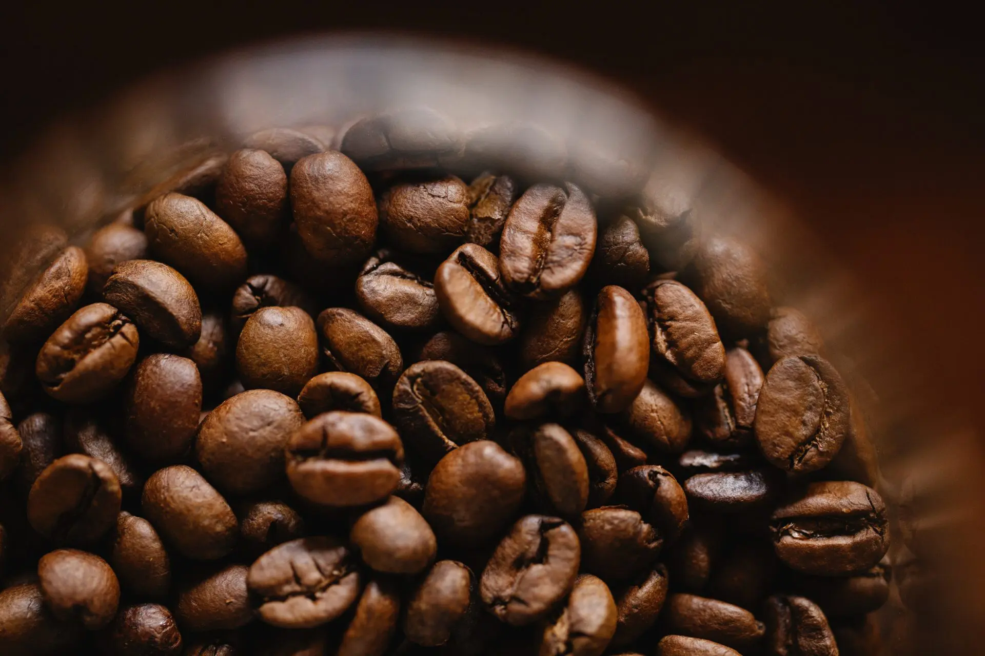 Oito lotes de café são apreendidos com presença de impurezas