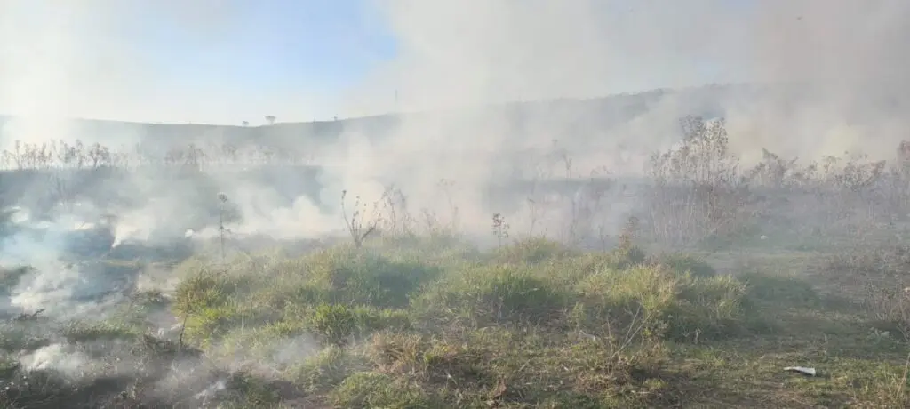 Incêndio em área verde no Geada retoma nesta quarta e fogo atinge 27 hectares