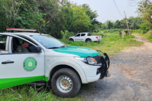 GCM recupera dois veículos furtados de concessionária da Av. Campinas