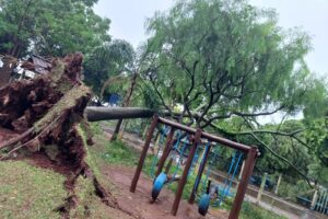 Ventos de até 90 km e chuvas provocam danos em Limeira; não houve vítimas e situação está sob controle