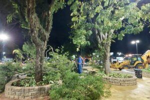 Equipes da Prefeitura atuam na remoção de árvores